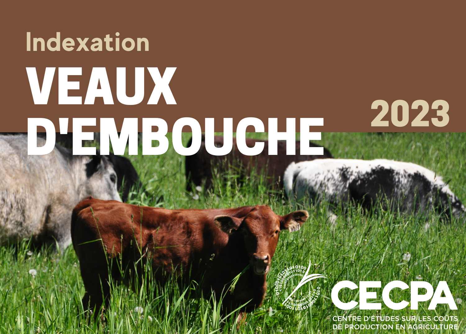 étude : INDEXATION 2023 - VEAUX D'EMBOUCHE